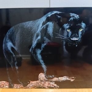 Black Panther Art Photography Print